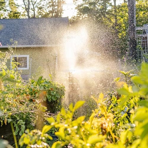 Brunnenbau: Dank Brunnenschlagen eigene Wasserversorgung im Garten. Kostenlos und unabhängig.